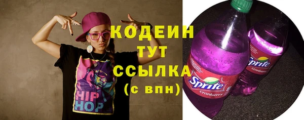 ГАЛЛЮЦИНОГЕННЫЕ ГРИБЫ Инсар
