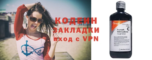 ГАЛЛЮЦИНОГЕННЫЕ ГРИБЫ Инсар