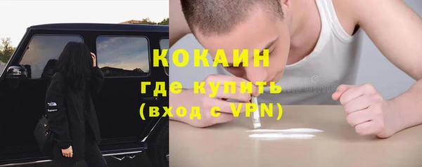 ГАЛЛЮЦИНОГЕННЫЕ ГРИБЫ Инсар