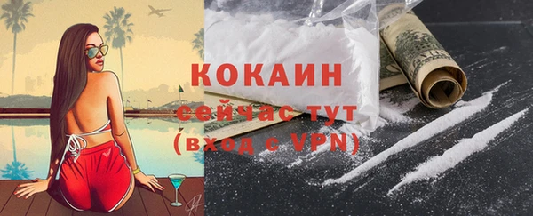 ГАЛЛЮЦИНОГЕННЫЕ ГРИБЫ Инсар