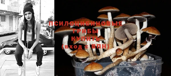ГАЛЛЮЦИНОГЕННЫЕ ГРИБЫ Инсар