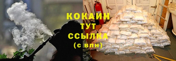 ГАЛЛЮЦИНОГЕННЫЕ ГРИБЫ Инсар