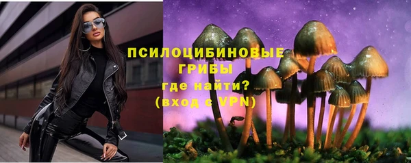 ГАЛЛЮЦИНОГЕННЫЕ ГРИБЫ Инсар