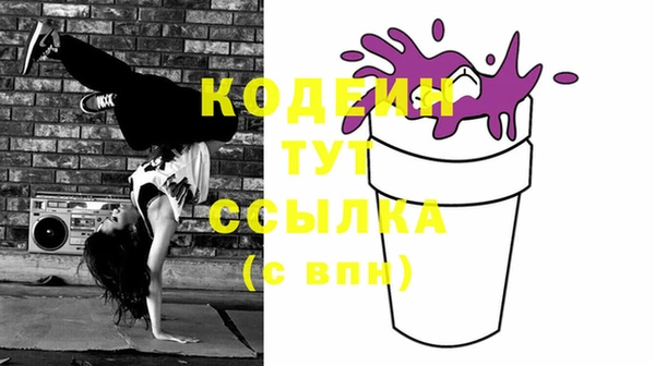 ГАЛЛЮЦИНОГЕННЫЕ ГРИБЫ Инсар