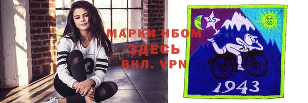 ГАЛЛЮЦИНОГЕННЫЕ ГРИБЫ Инсар