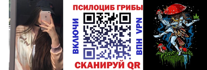 Псилоцибиновые грибы Cubensis  Купить  Коркино 